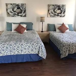Waikiki Banyan , Honolulu United States